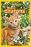 Les chatons.