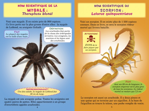 Mygale Ou Scorpion Non Fiction Book In French For Children