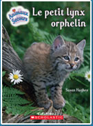 Le petit lynx orphelin