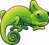 Le Caméléon Vert