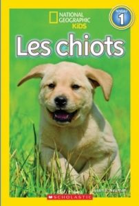 Les chiots.