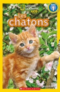 Les chatons.