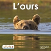 L'ours.