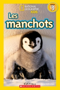 Les manchots.
