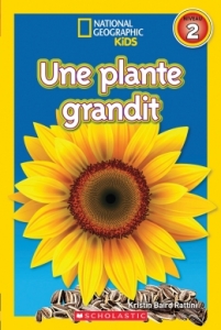 Une plante grandit.