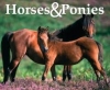 Horses & Ponies