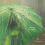 Le parapluie vert.