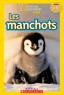 Les manchots.