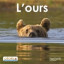 L'ours.